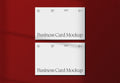Business Card Mockup Collection