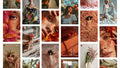 Instagram Frames Template - 16 Layouts